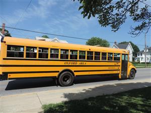 School Bus School Bus